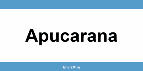 Telefone da Braspress em Apucarana