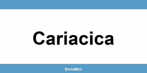Telefone da Braspress em Cariacica