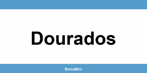 Telefone da Braspress em Dourados