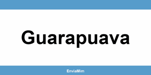 Telefone da Braspress em Guarapuava