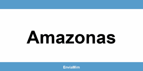 Telefone da Braspress em Amazonas