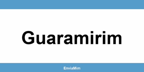 Telefone da Braspress em Guaramirim